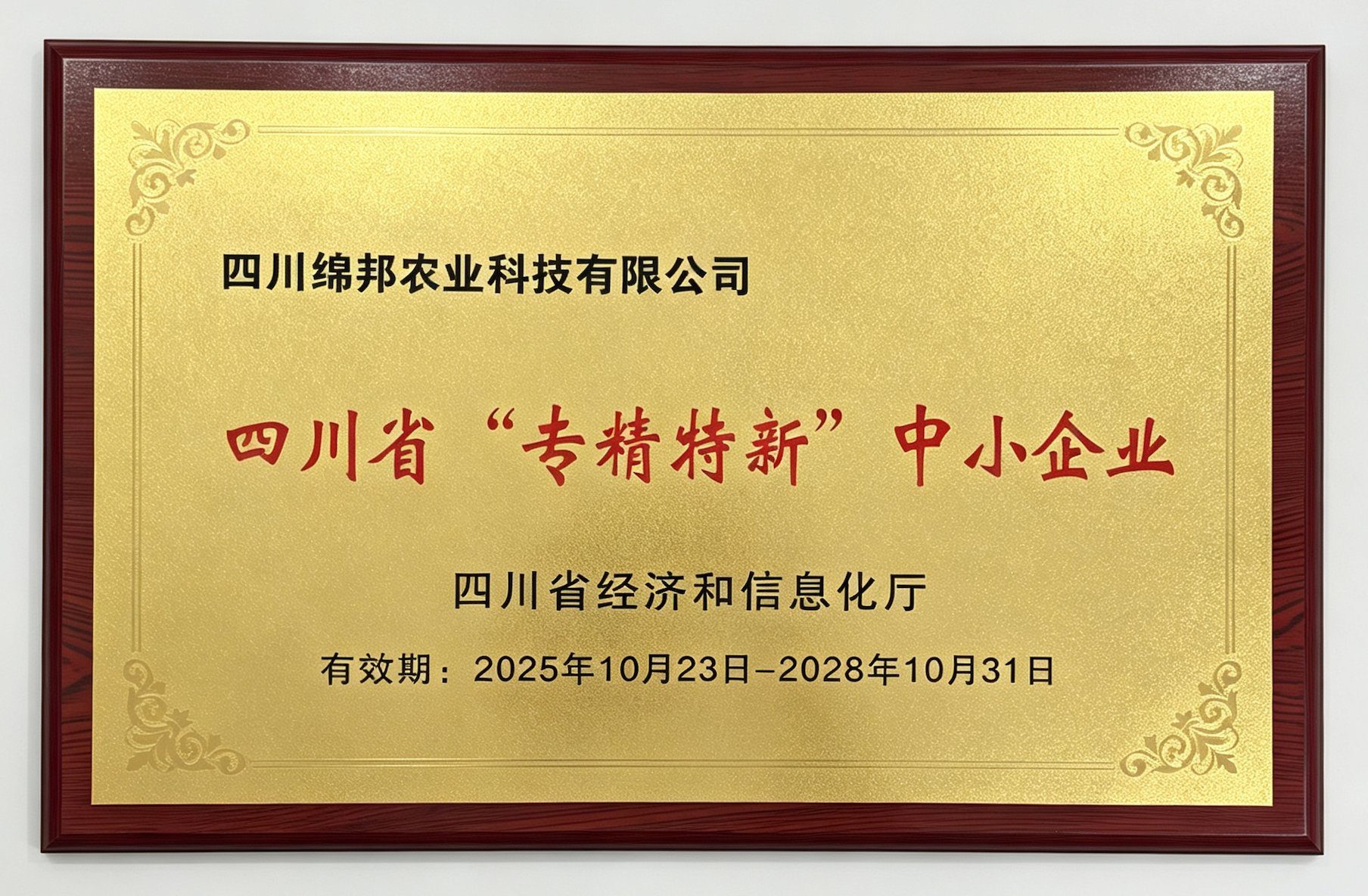 四川省"专精特新"中小企业