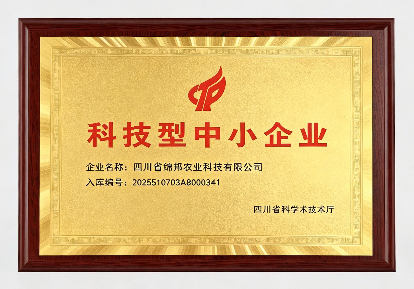 国家级科技型中小企业